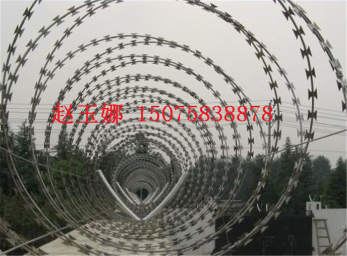 監(jiān)獄蛇腹形刀片刺網