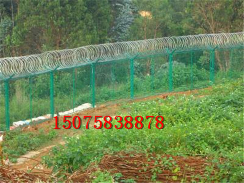 監(jiān)獄外警戒區(qū)隔離網(wǎng)