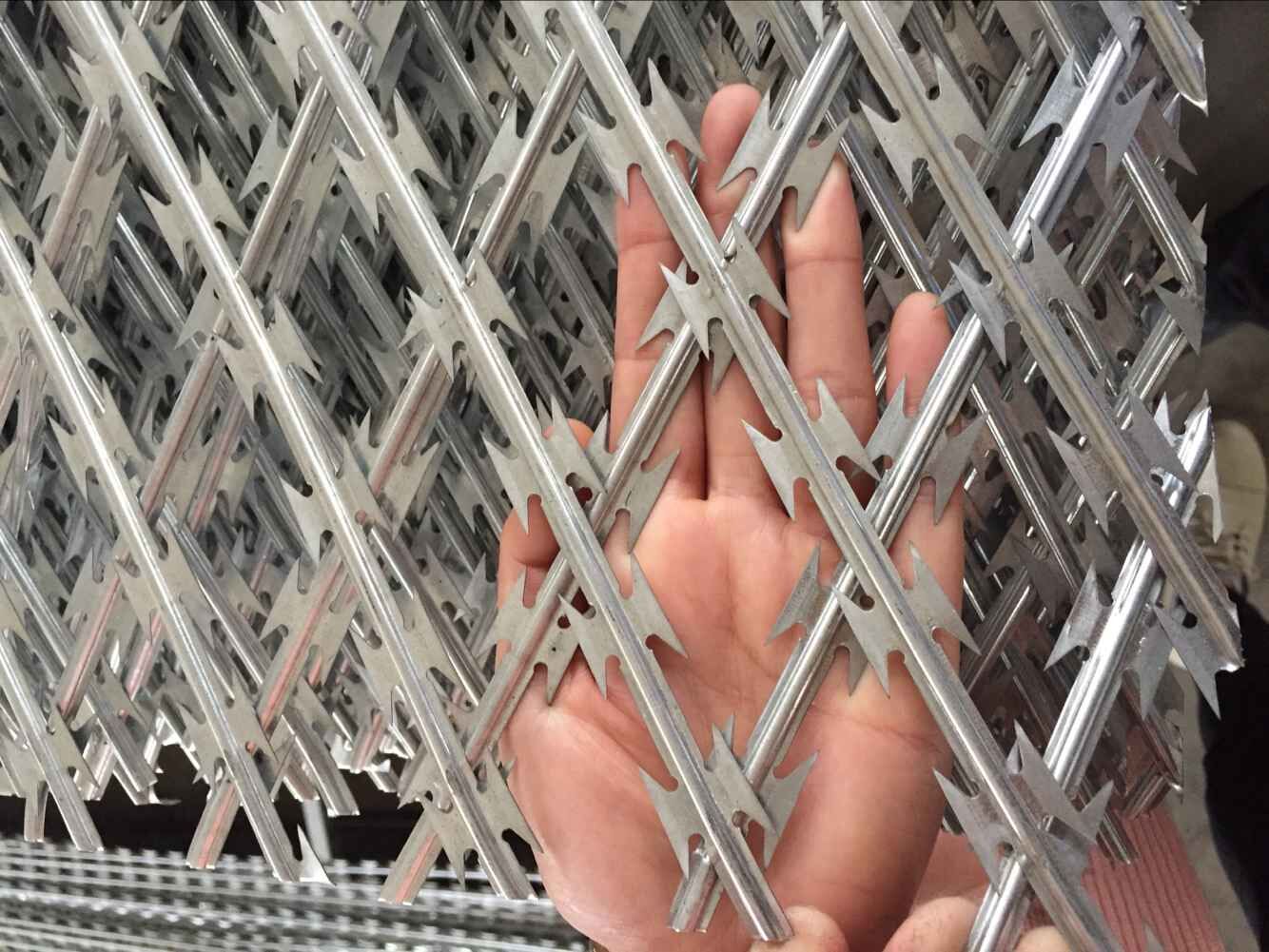 監獄巡邏道隔離網